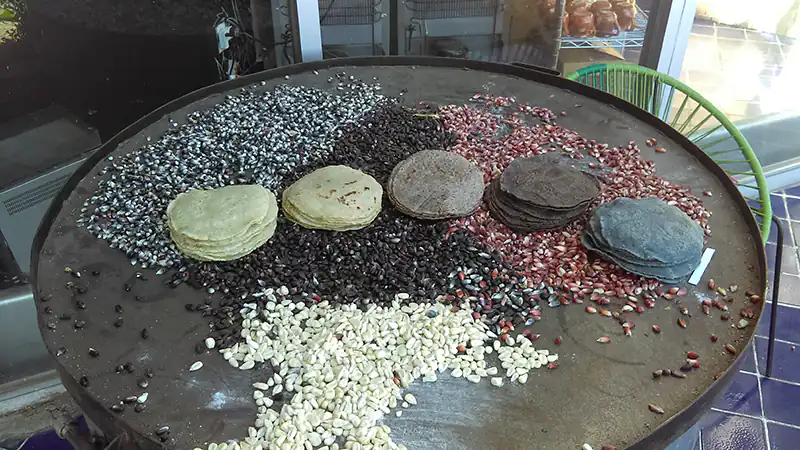 tortillas y maíz en comal